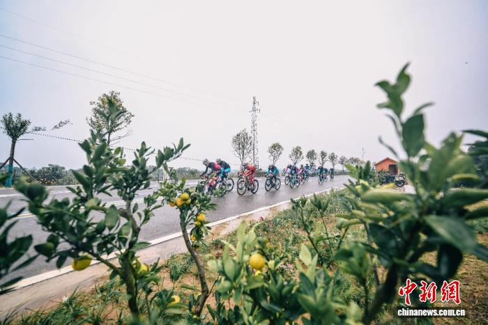 2025环漳河国际公路自行车赛在荆门揭幕：以“大